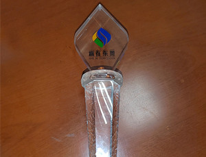 贏在東莞三等獎(jiǎng)
